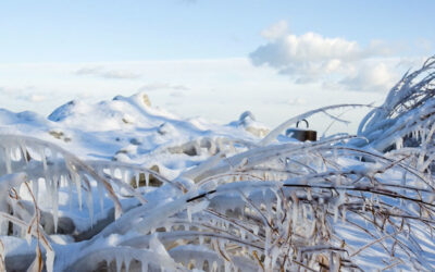 Seminoles BCS Survive The Polar Vortex
