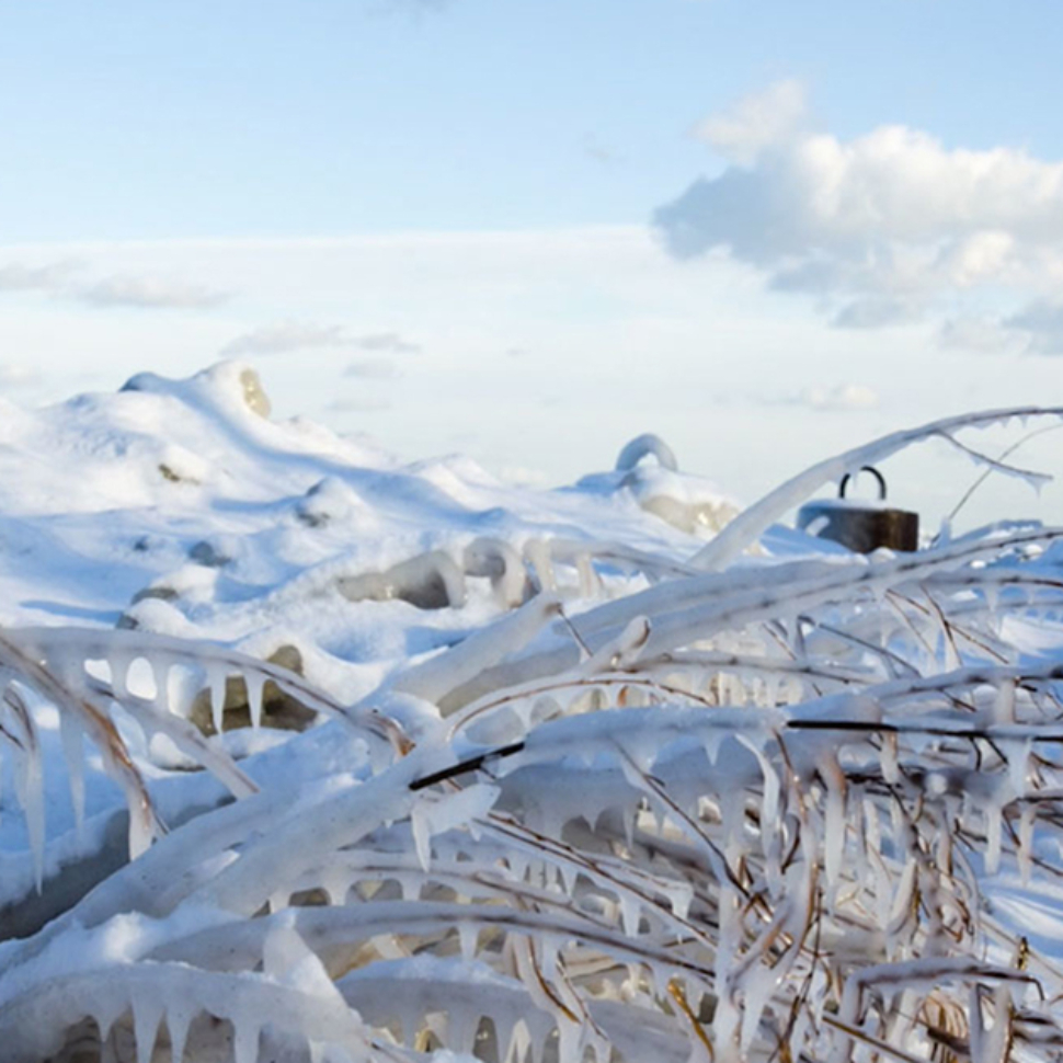 Blog_SeminolesCold_NoLogo